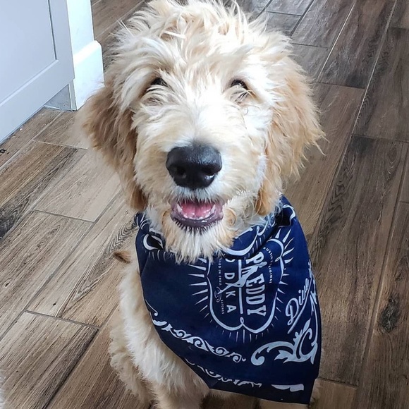 Brand NEW Deep Eddy Vodka Bandana - Picture 6 of 6